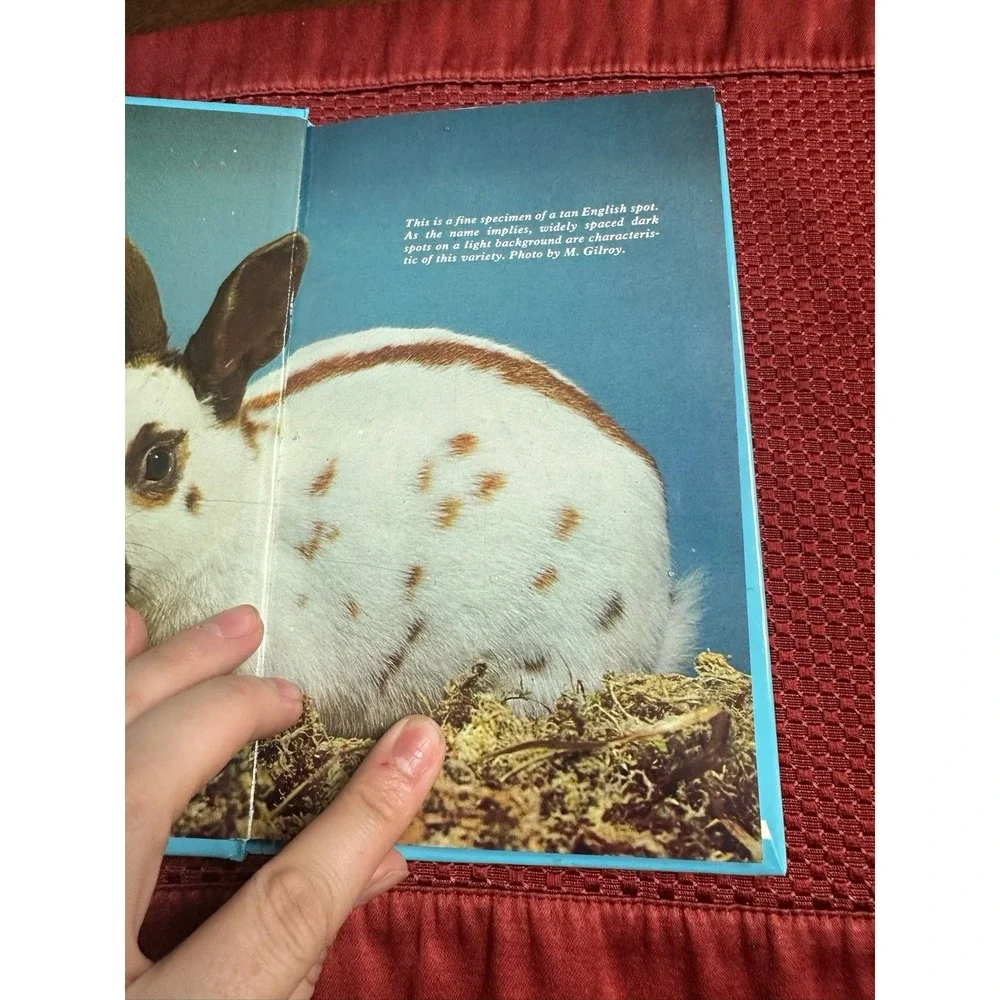 BEGINNER'S GUIDE TO RABBITS By Paul Wimner - Hardcover